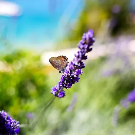 Appartement Blue Bay