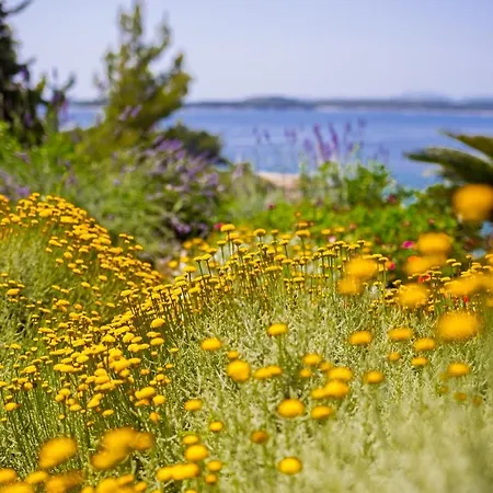 Blue Bay Appartement *