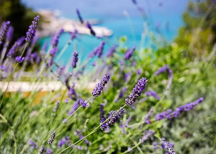 Blue Bay Διαμέρισμα