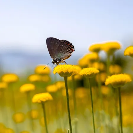 Apartmán Blue Bay *